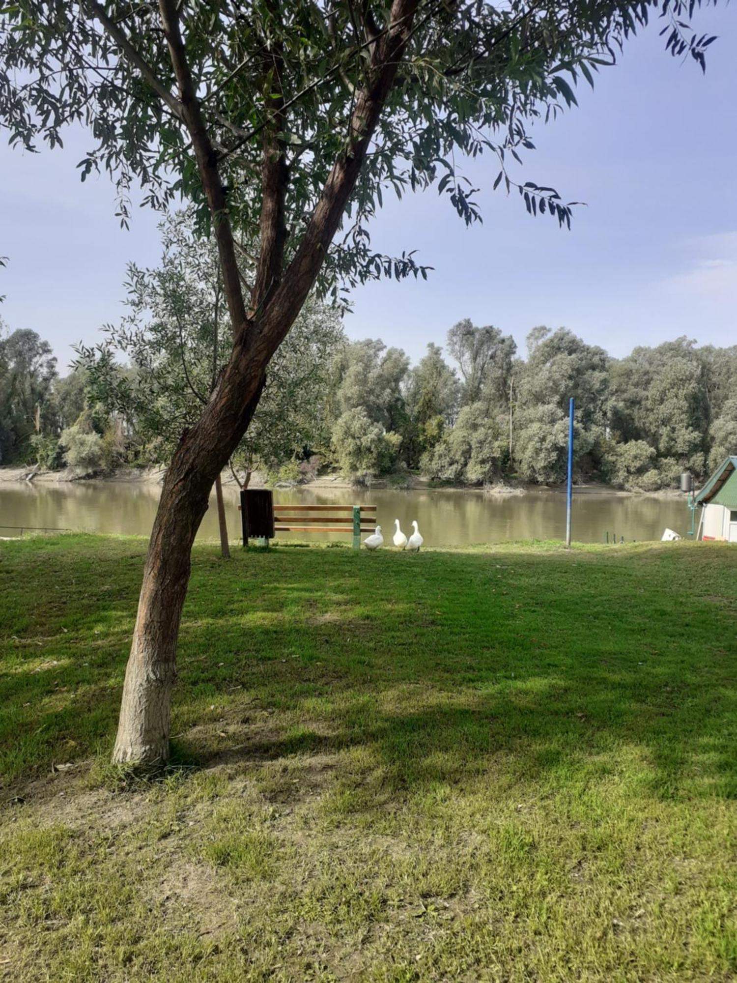 度假居 Vikendica Dunav *