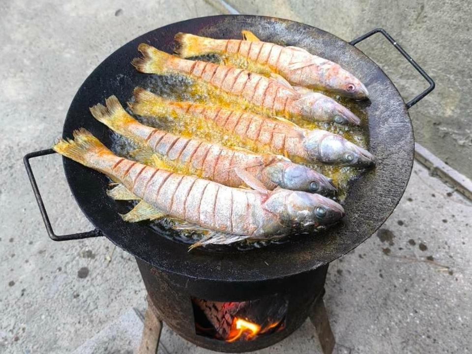 Vikendica Dunav *